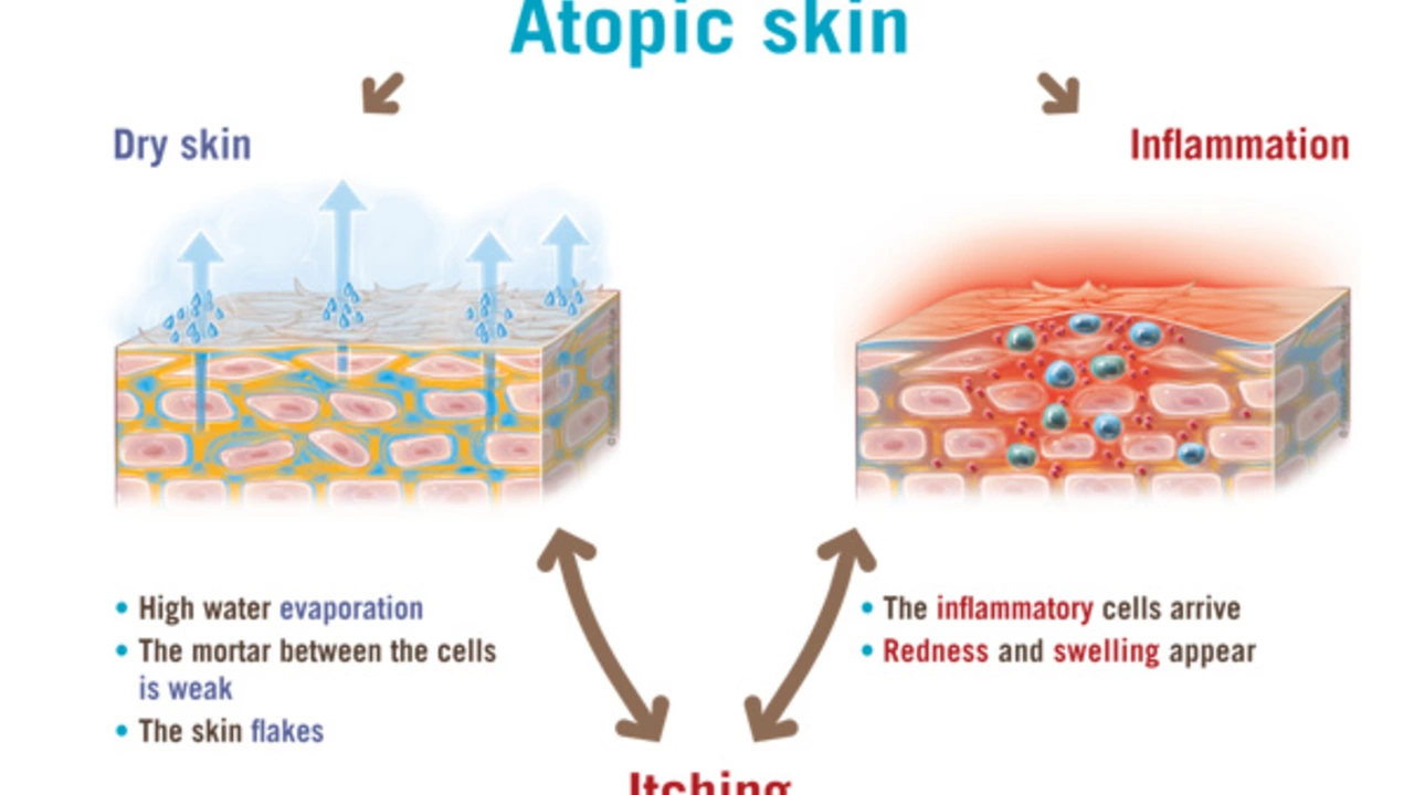 The Impact of Environmental Factors on Skin Inflammation
